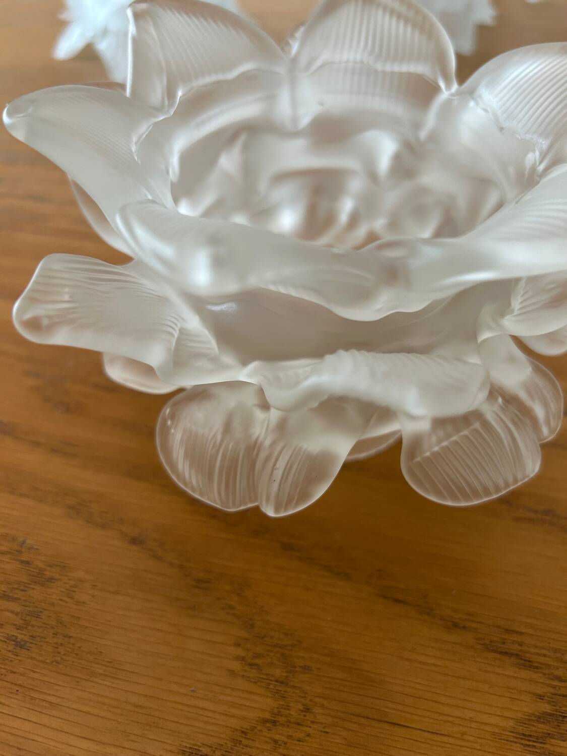 5 glass paste tulips