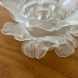 5 glass paste tulips