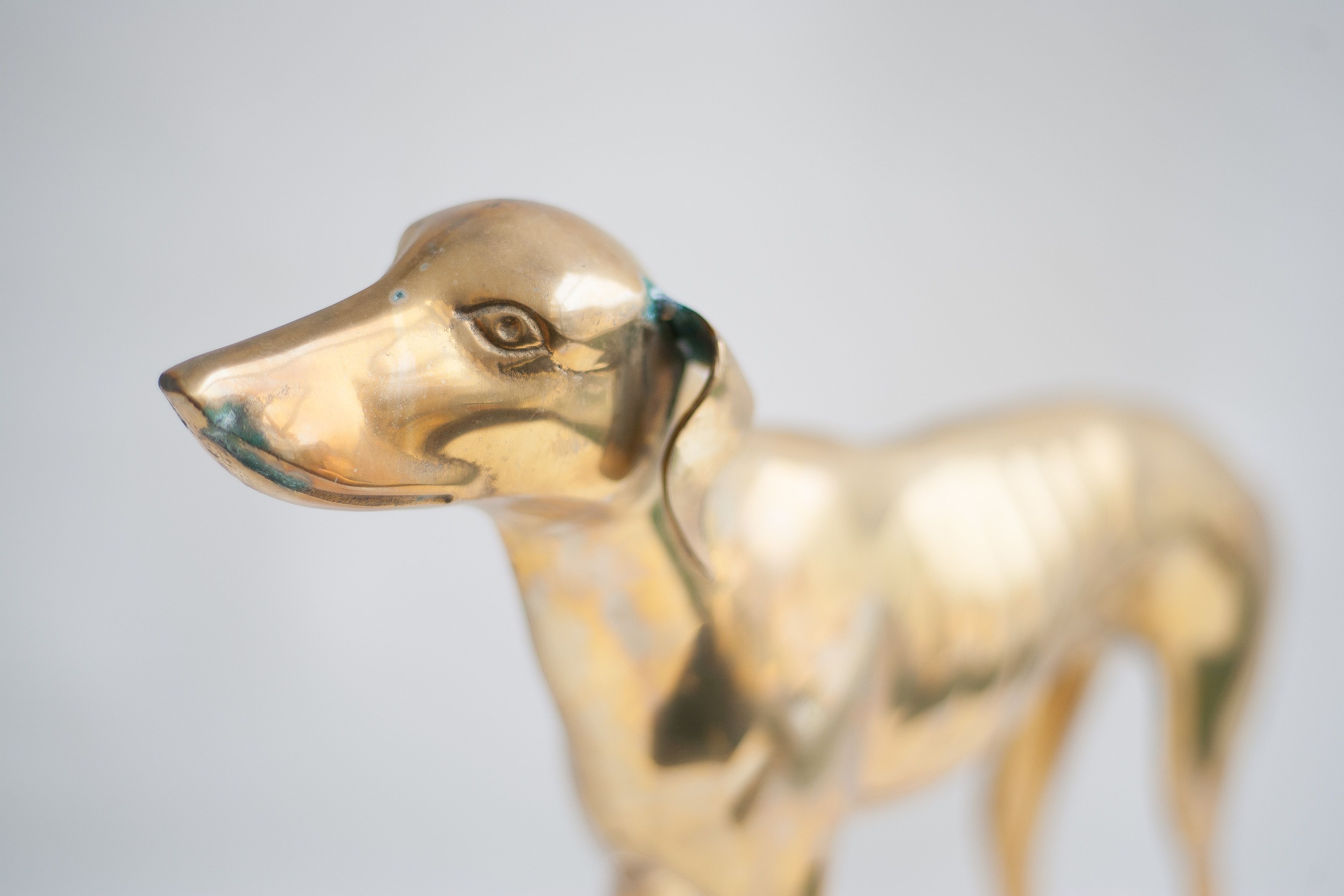 Brass dog