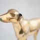 Brass dog
