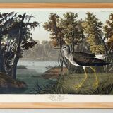 Poster about the Yellow-legged Knight, based on an old engraving