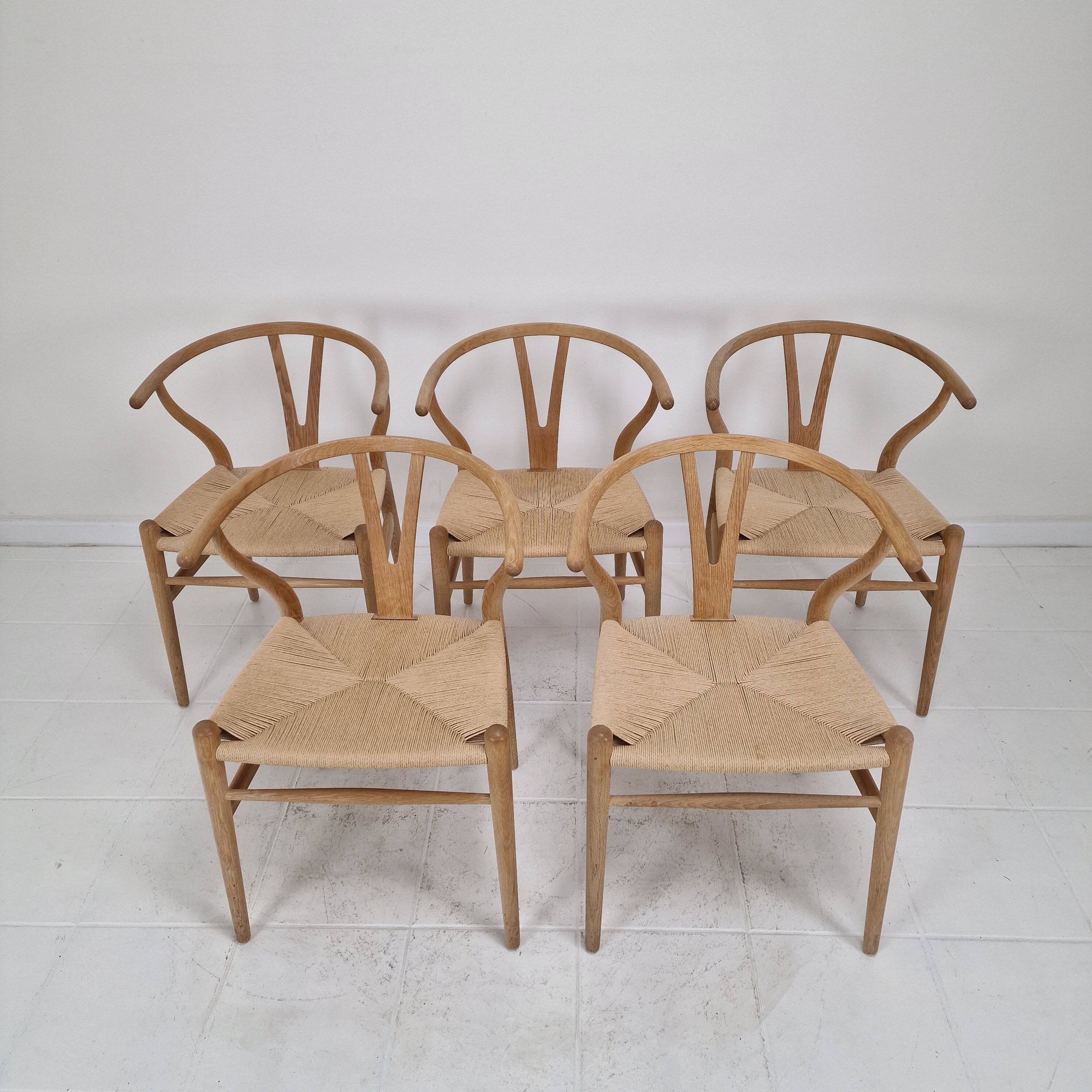 Chaises Wishbone CH24 de Hans J. Wegner par Carl Hansen & Søn, Danemark, Ensemble de 5