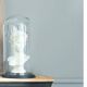 Black base glass bell