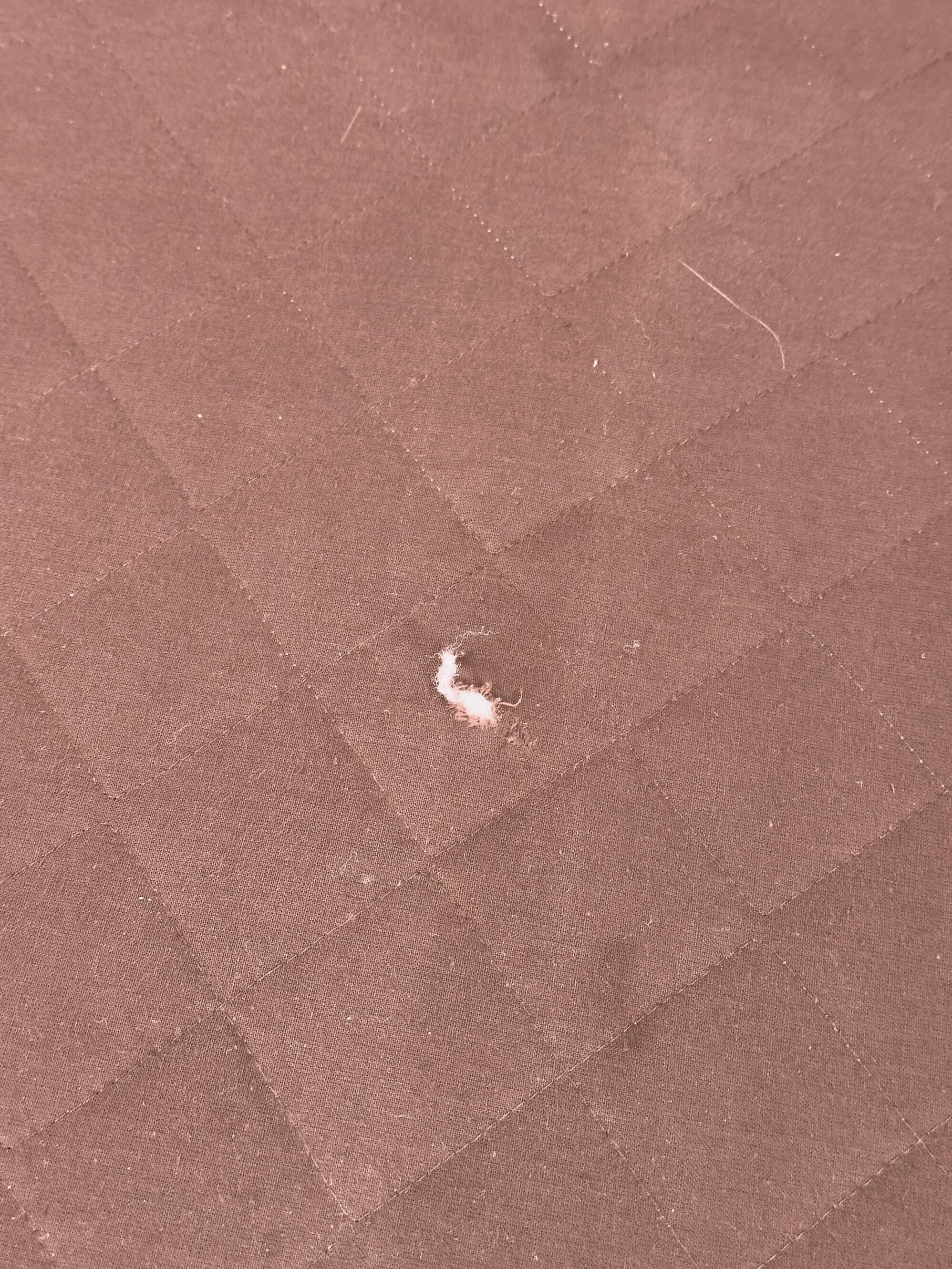 Canapé deux places vintage Senator en teck par L. Olsen, années 1970