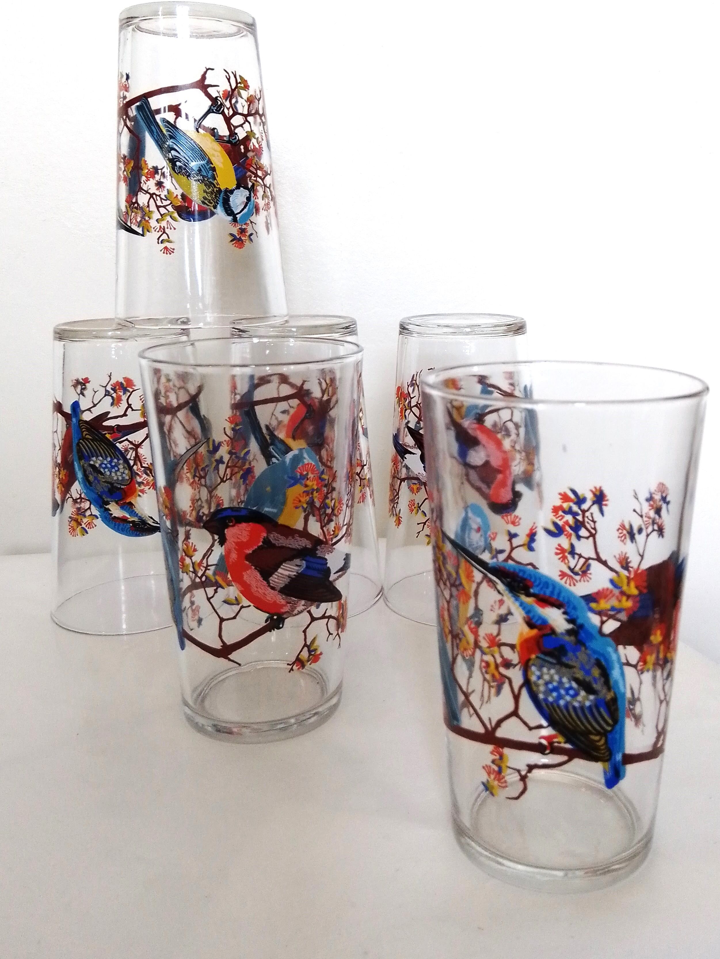 Set of 6 orangeade glasses seriographed "Birds"