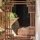Large sculptural mirror handmade from natural bamboo and woven rattan, 1960.