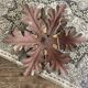 Banci Florence ceiling light foliage 6 lights