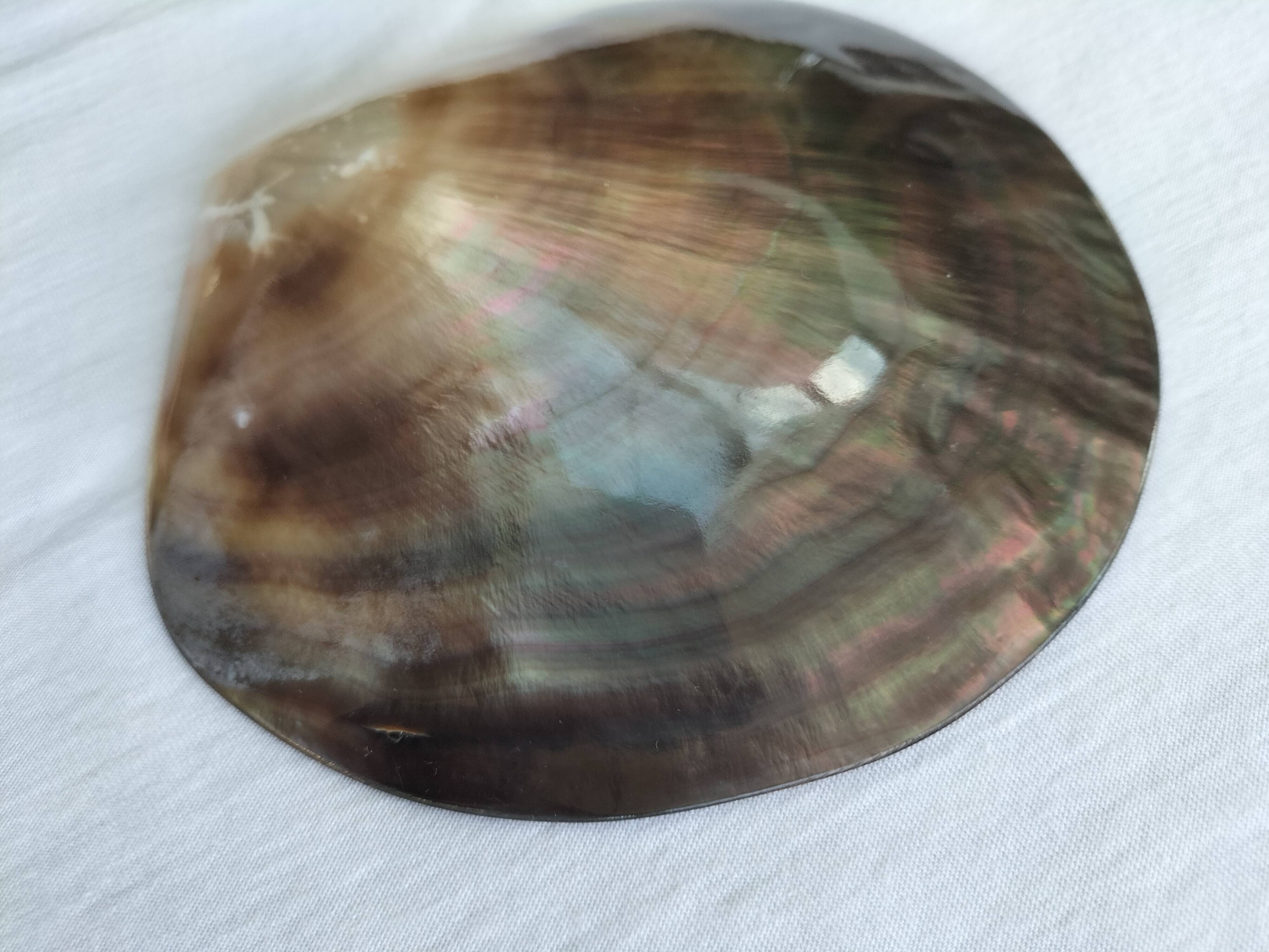Shell-shaped pocket tray from the pearl oyster of the islands.