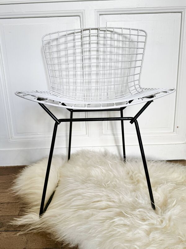 Chaise vintage Bertoia
