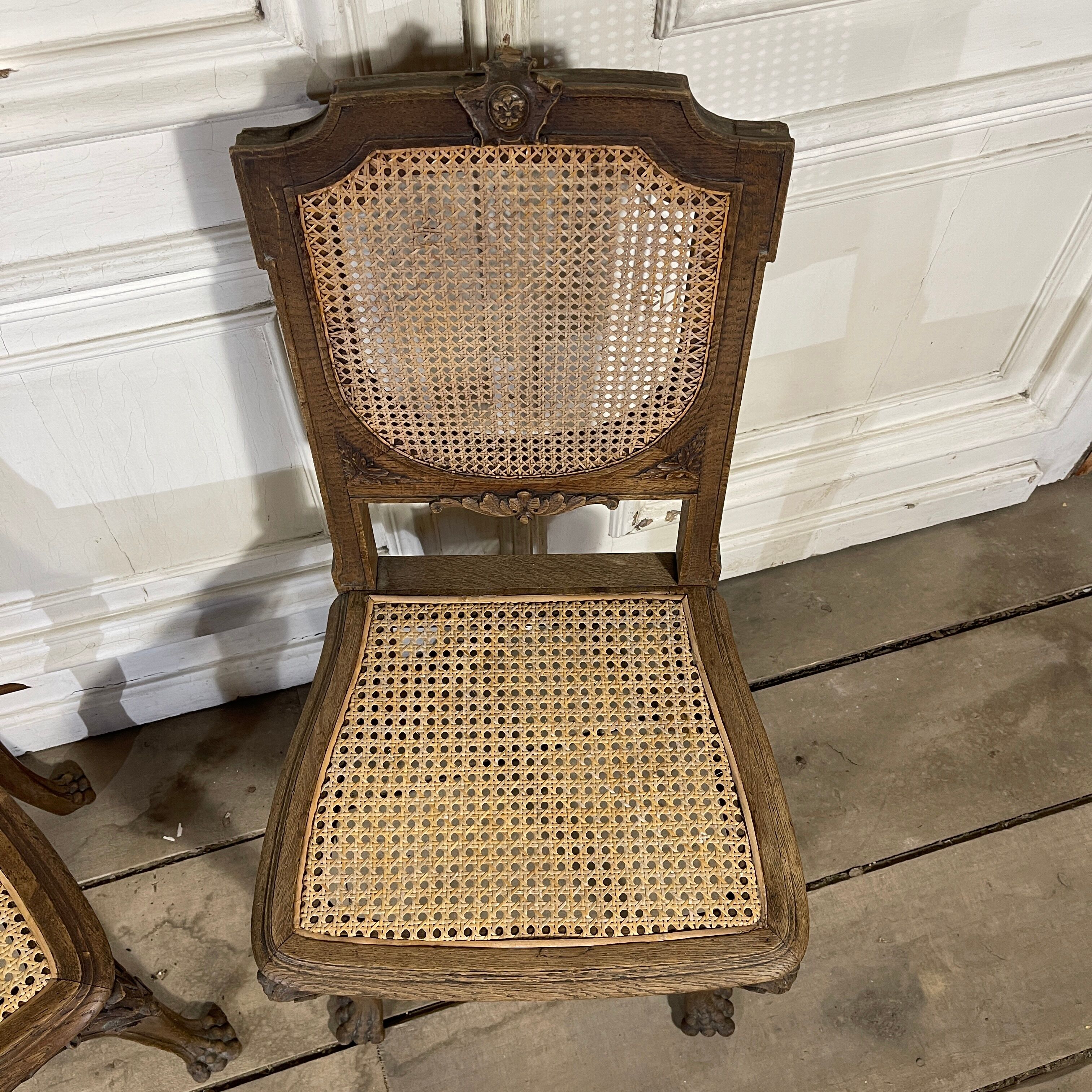 Paire de chaises cannée pieds pattes de lion