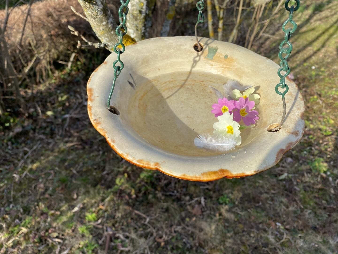 Drinking trough or floral cup in slurry