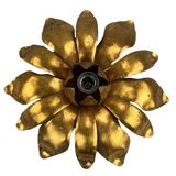 Wall sconce in brass