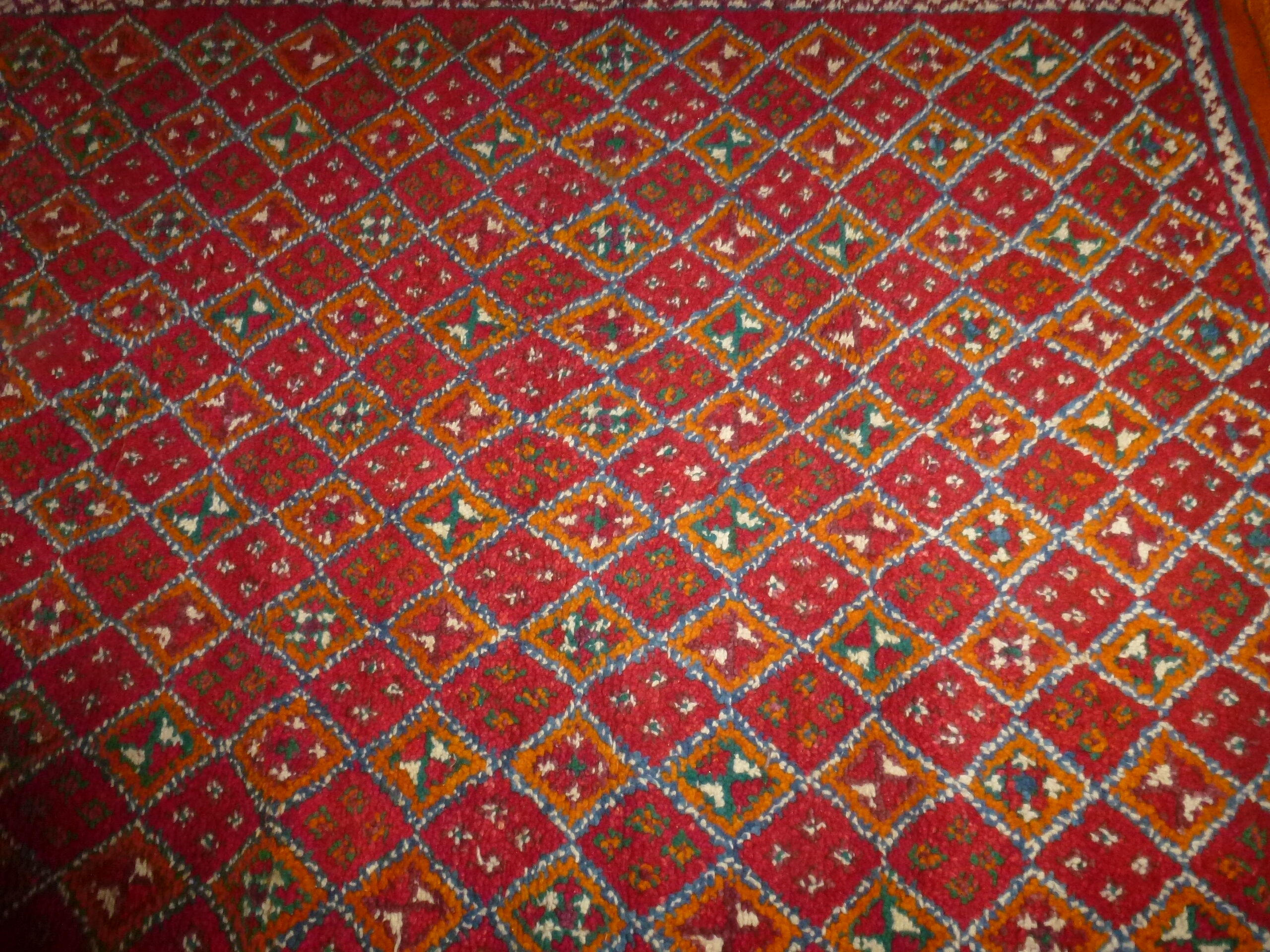 Berber carpet in wool 60