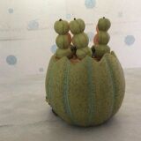 Melon service