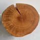 Unique Mid Century tree trunk side table