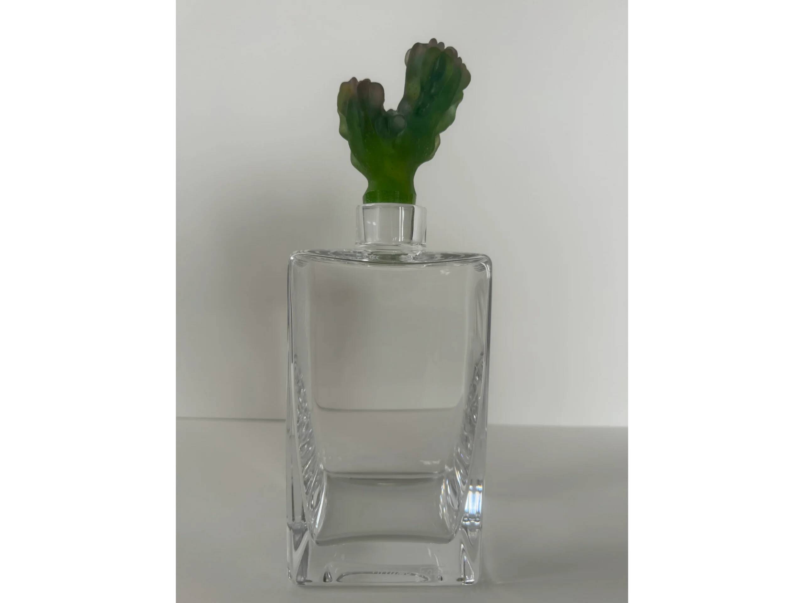 Daum Carafe – Cactus