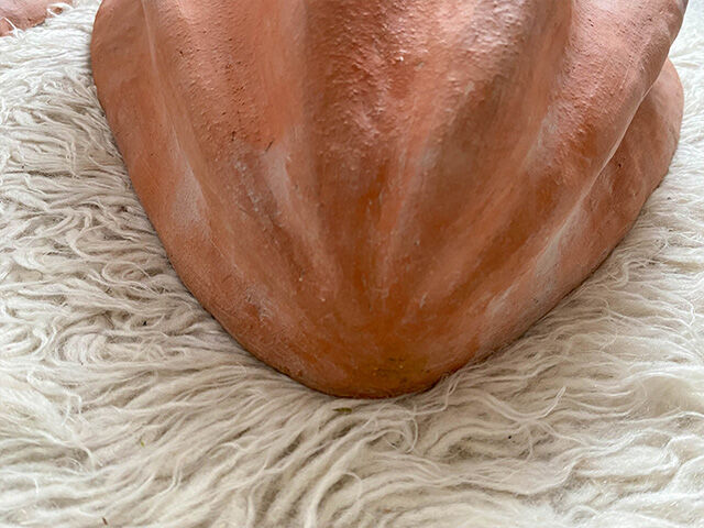 Pair of shell wall lamps