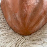 Pair of shell wall lamps