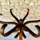 Vintage coat rack, number 198 by Baumann circa 60's