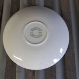 Broadhurst Staffordshire cup and saucer