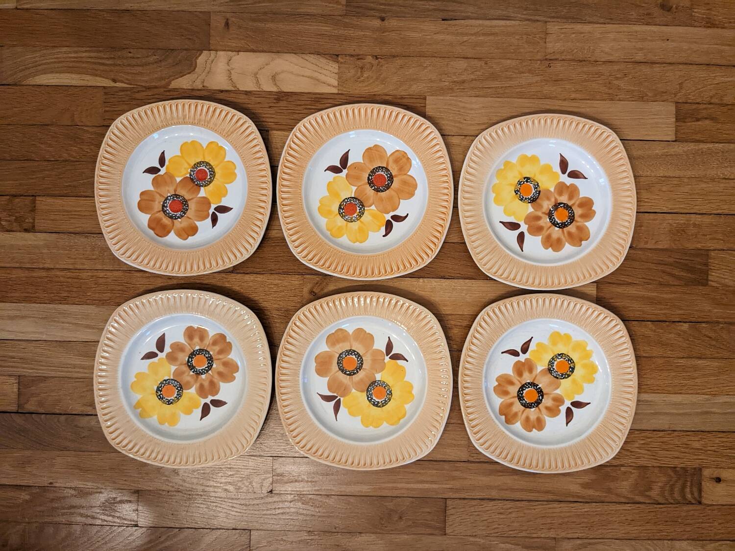 6 Mondovi plates