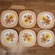 6 Mondovi plates