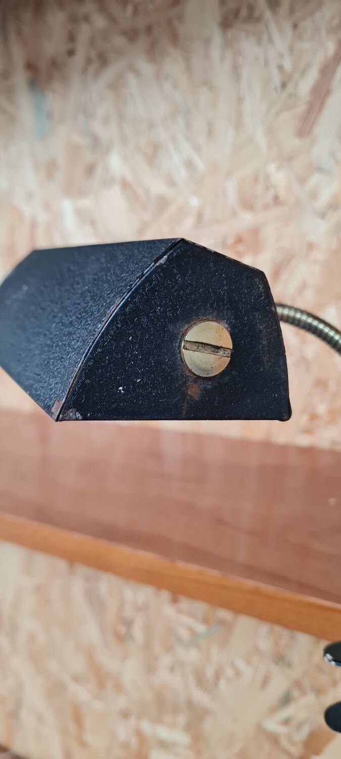Lamp for clip-on shelf