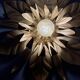 Vintage wall light in gold metal