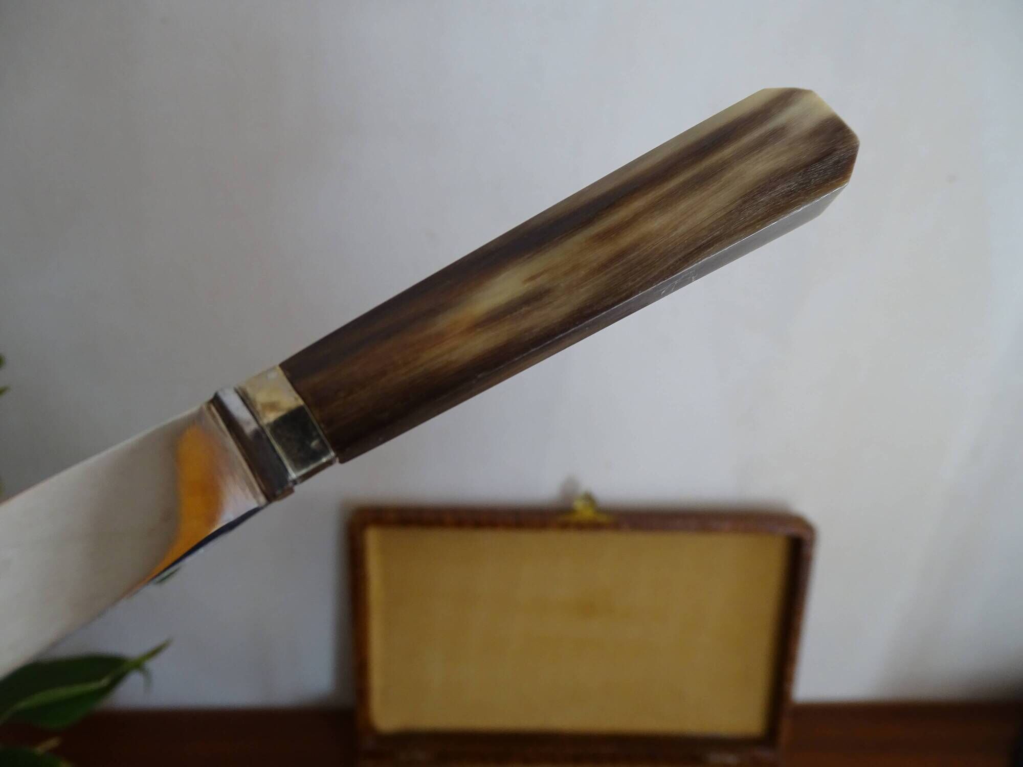 12 vintage Pradel cheese knives horn and stainless steel handles in case