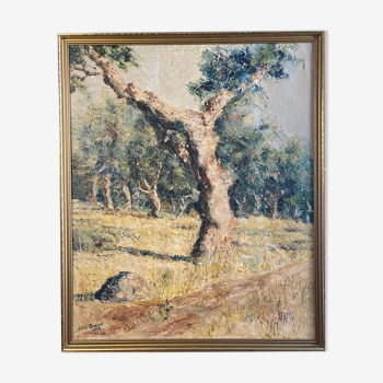 Oil on canvas, Olive tree trunk signed XXth
