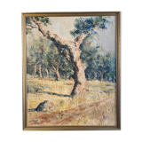 Oil on canvas, Olive tree trunk signed 20th Brvao (JG)