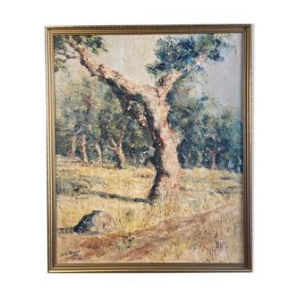 Oil on canvas, Olive tree trunk signed 20th Brvao (JG)