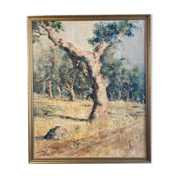 Oil on canvas, Olive tree trunk signed 20th Brvao (JG)