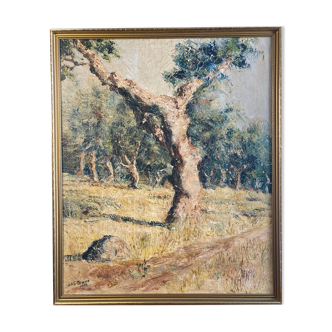Oil on canvas, Olive tree trunk signed XXth