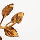 Pair of vintage gilt leaf sconces by Hans Kögl