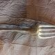 5 silver forks