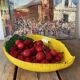 Painted glass dish “le citron”