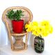 Emmanuelle armchair in doll rattan 48 cm