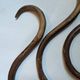 Set of curved wooden coat hooks in Thonet style.