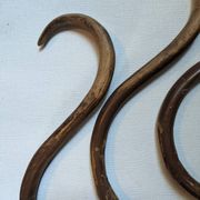 Lot de patères bois courbé de style Thonet