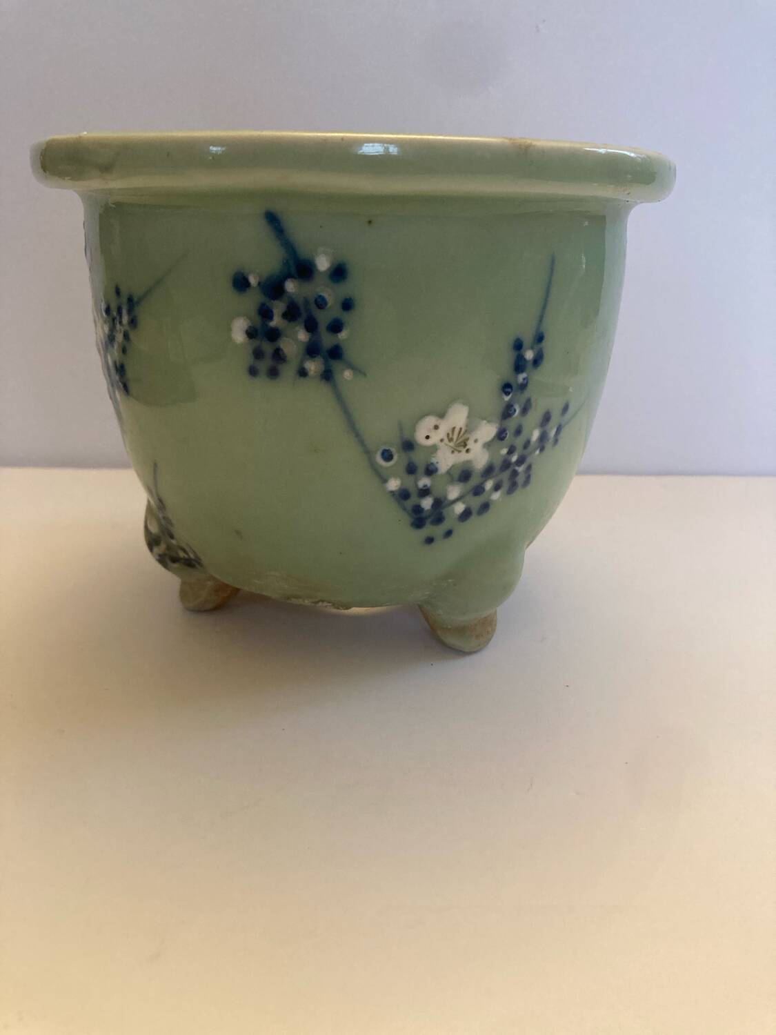 Cherry blossom flowerpot