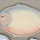 Assiettes poissons