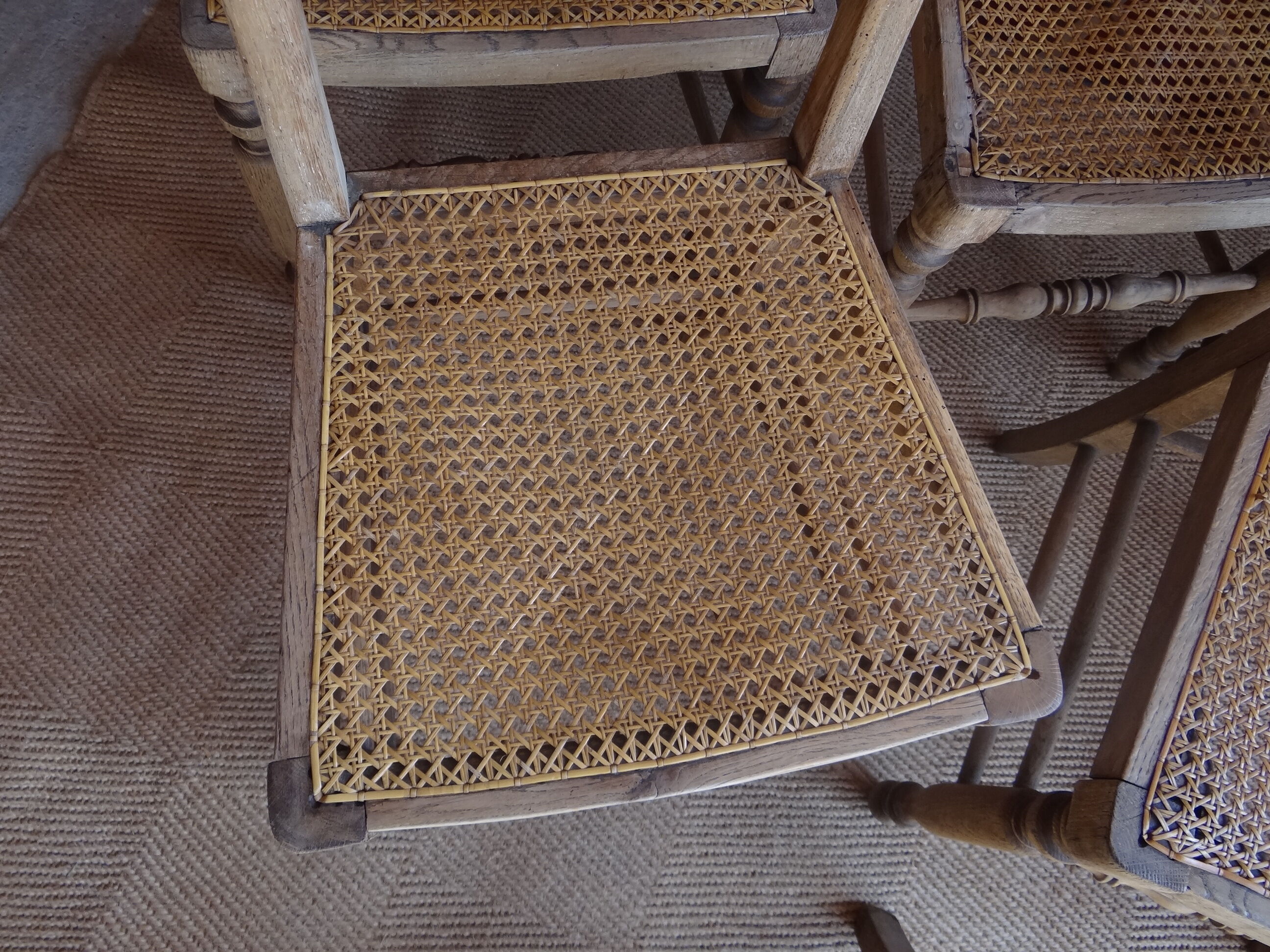 Suite of oak chairs; canated seats