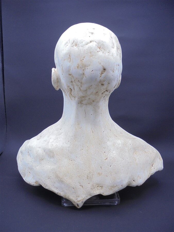 Plaster bust