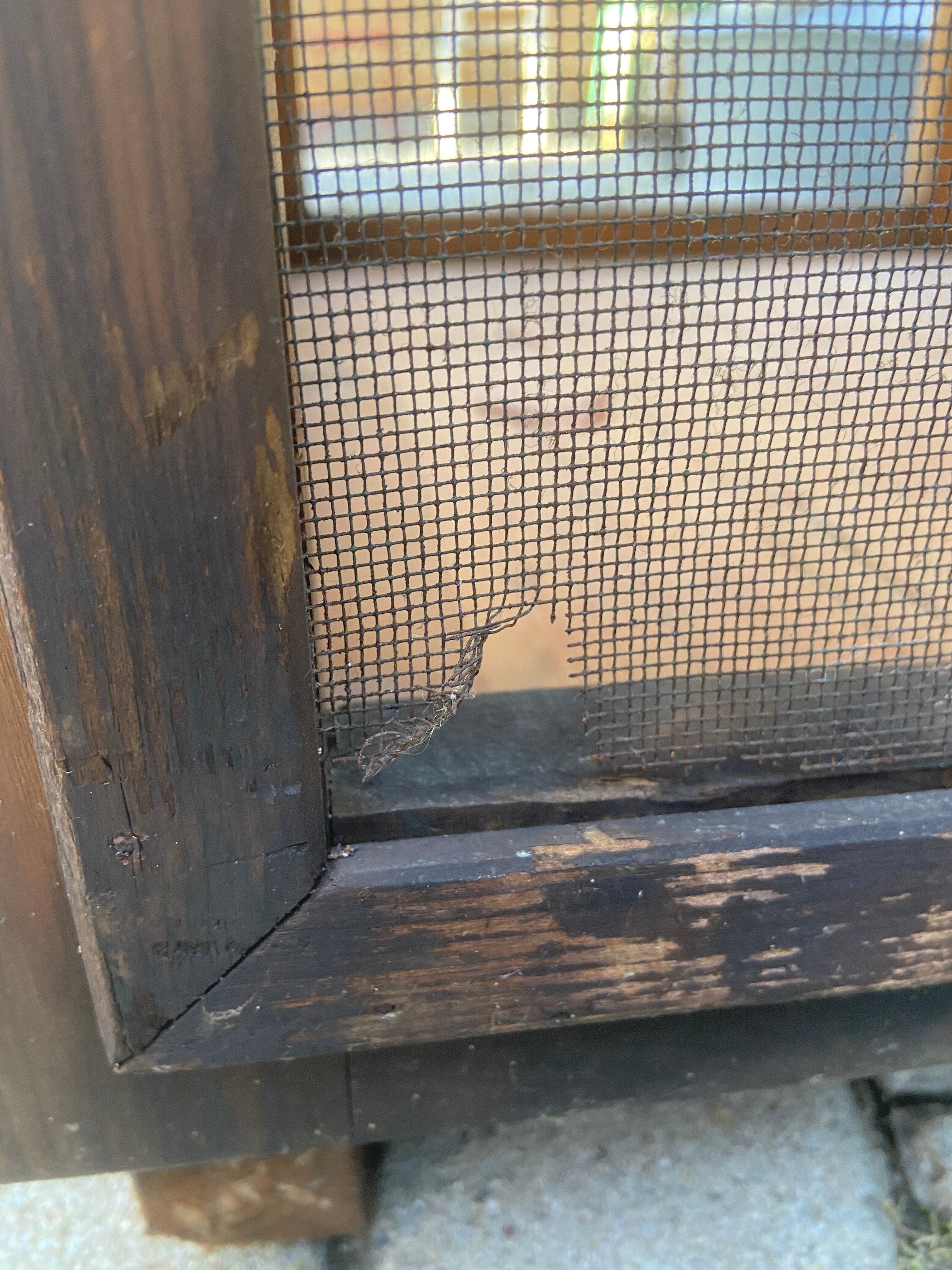 Vintage farm food 1940