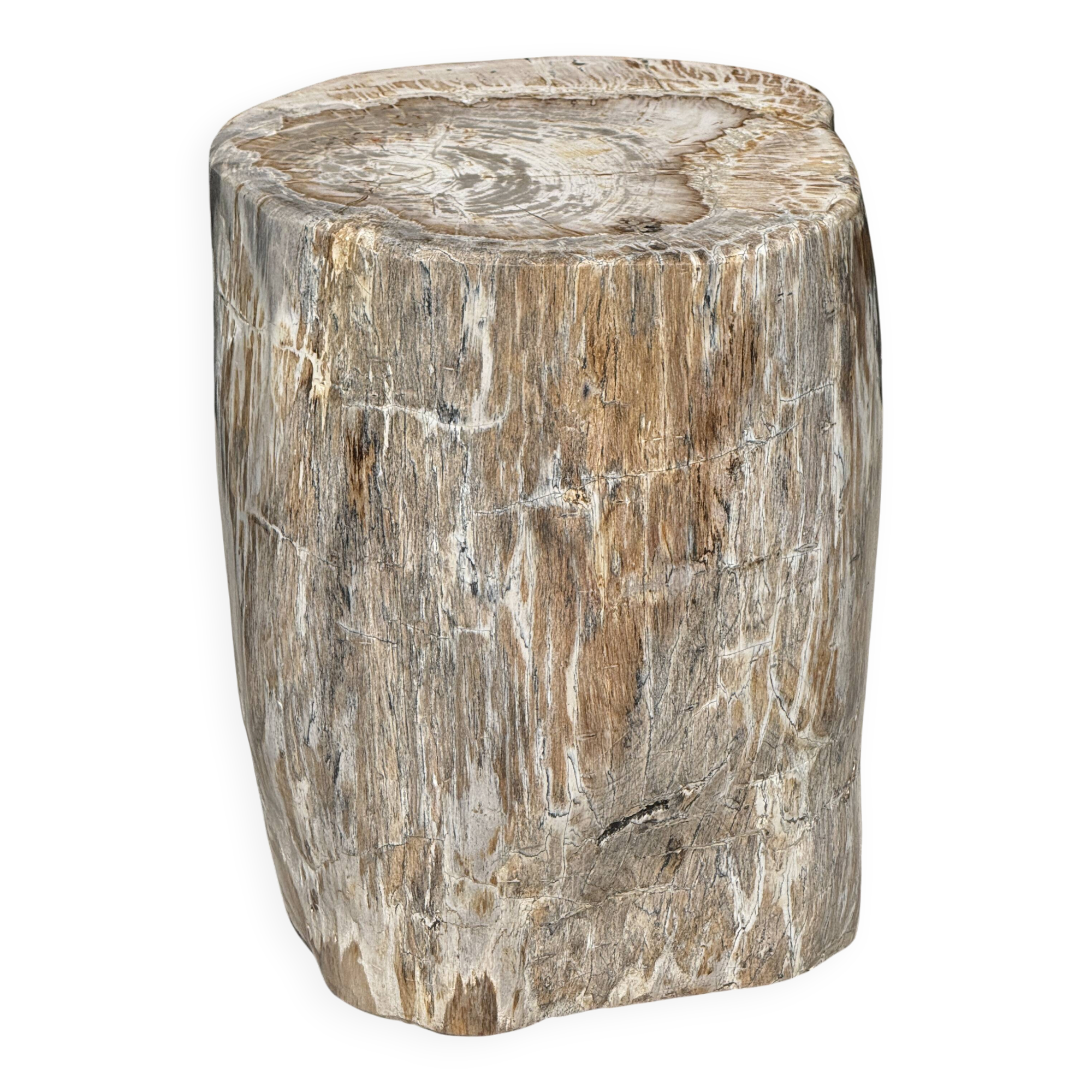 Very large white and grey petrified wood side table H45 D39 - 334