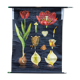 Jung-Koch-Quentell School Poster, Tulip, 1970
