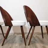 Dining Chairs by Antonin Suman, 1960s, Set of 4