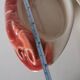 Charles Amand ceramic ramekin in the shape of a lobster
