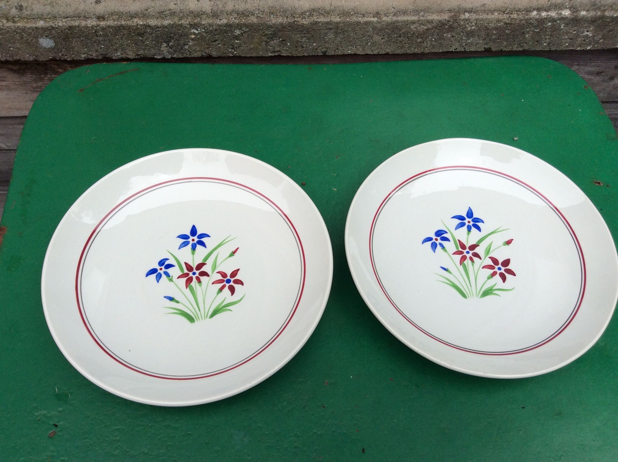 Duo de plats vintage